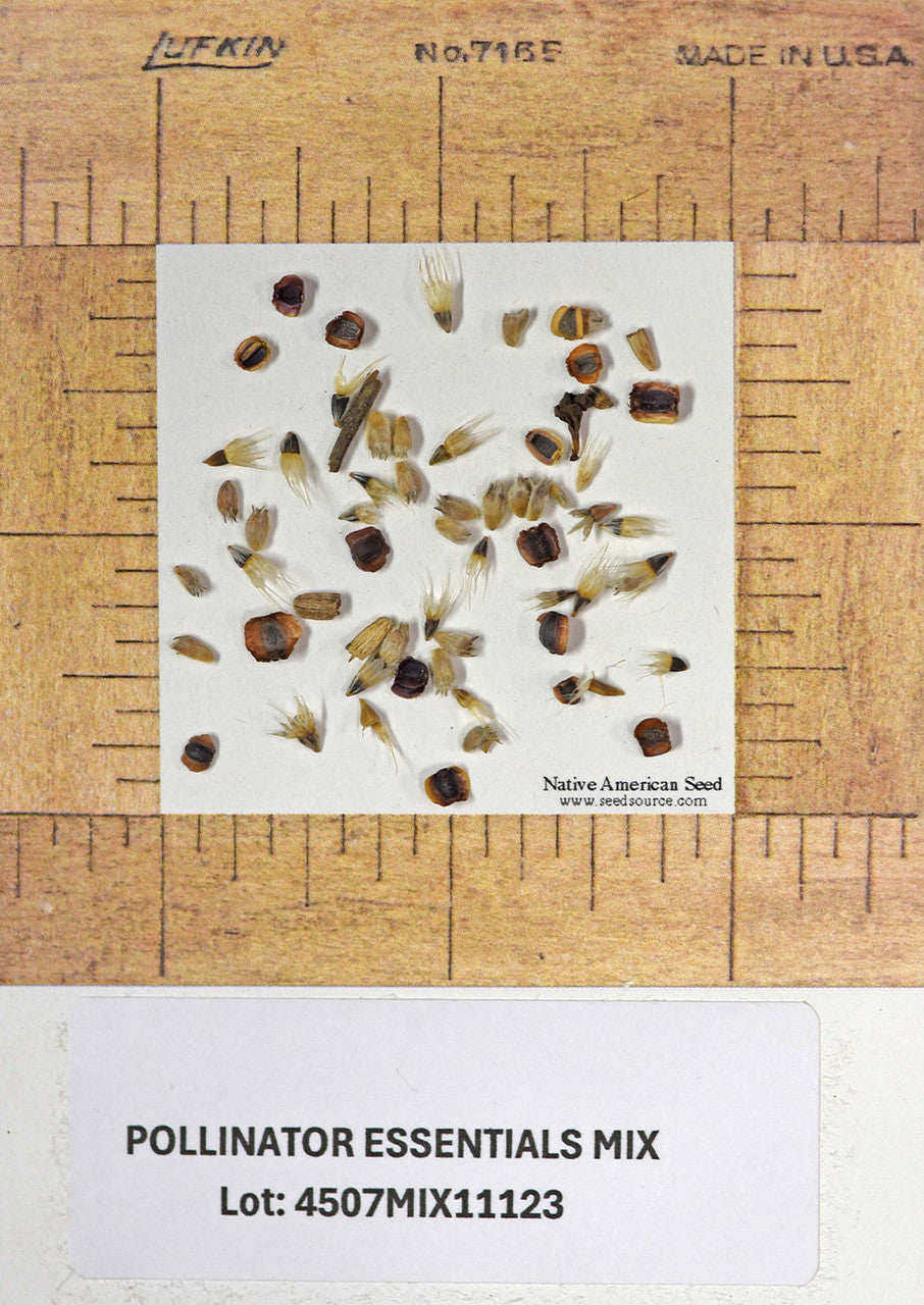 Plants for Birds - Pollinator Essentials Mix - Small Pack (Native American Seed)
