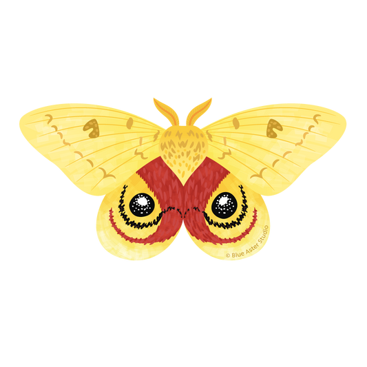 Sticker - Io Moth