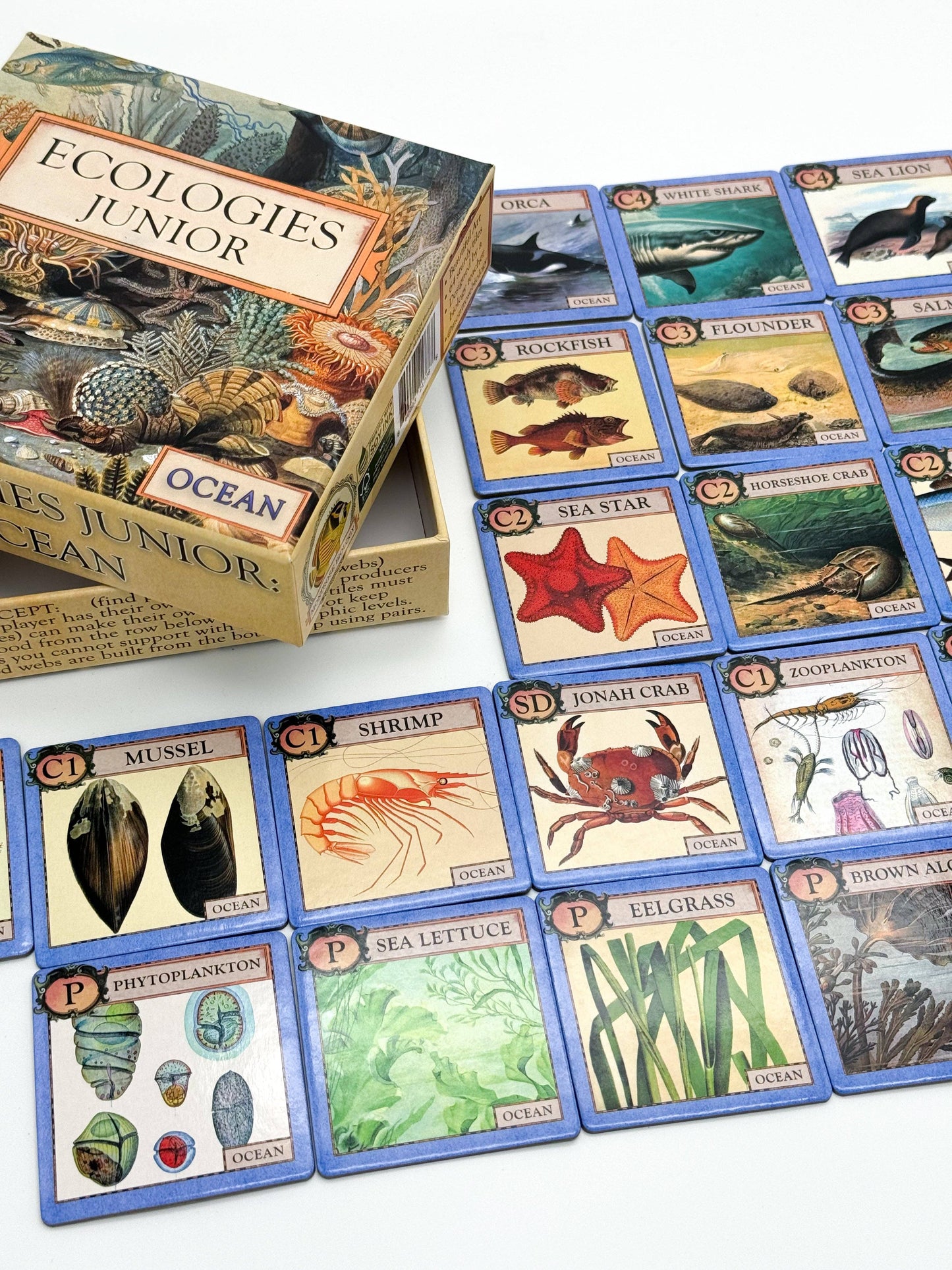 Games - Ecologies Junior: Ocean (Ages 4+)