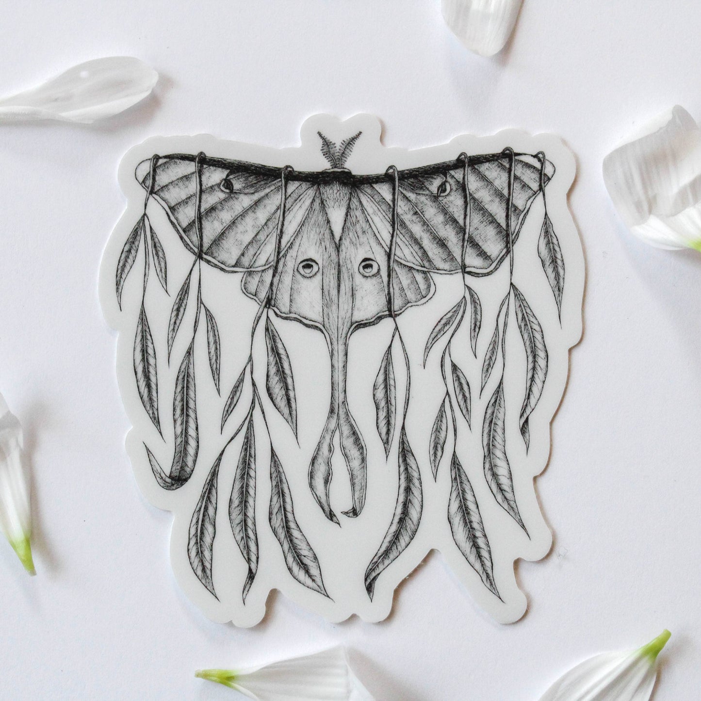 Sticker - Mackenzie Myrick - Luna Moth