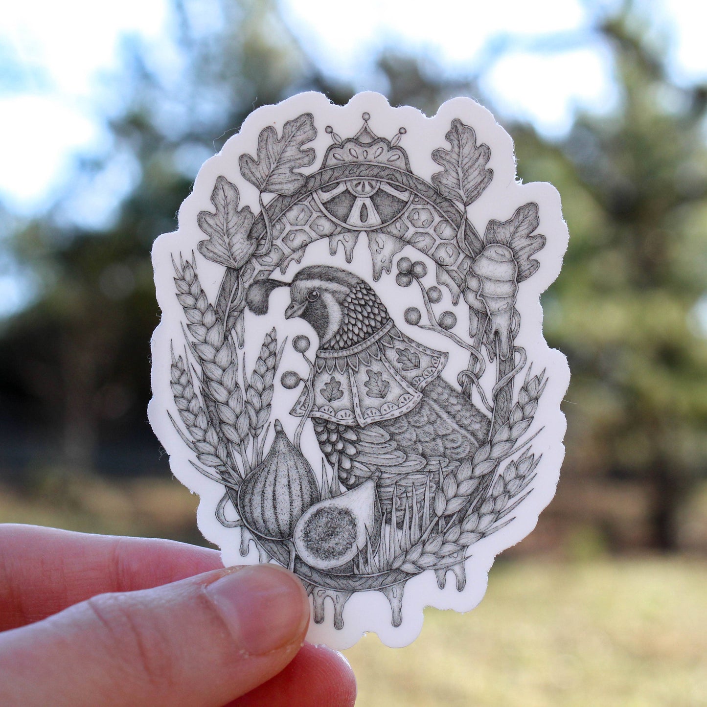 Sticker - Mackenzie Myrick - Figs and Honey