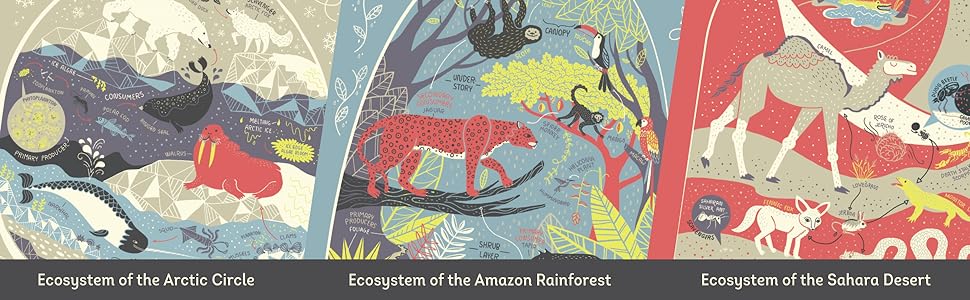 Book - Wondrous Workings of Planet Earth: Understanding Our World and Its Ecosystems by Rachel Ignotofsky (Hardback)