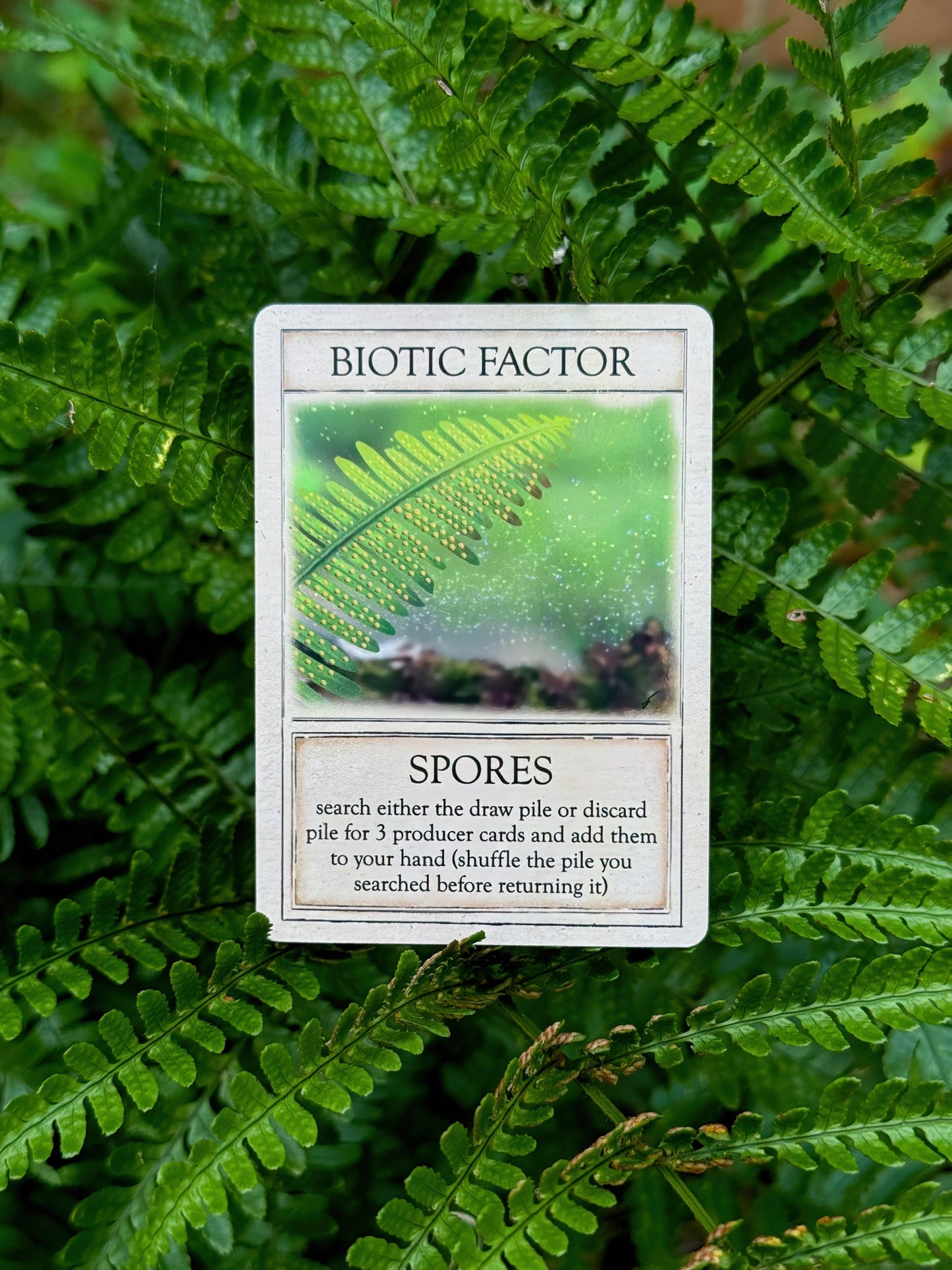 Games - Ecologies Ancient Areas (Expansion Pack)