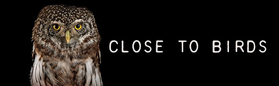 Book - Close to Birds: An Intimate Look at Our Feathered Friends by Mats Ottosson and Asa Ottosson (Hardback)