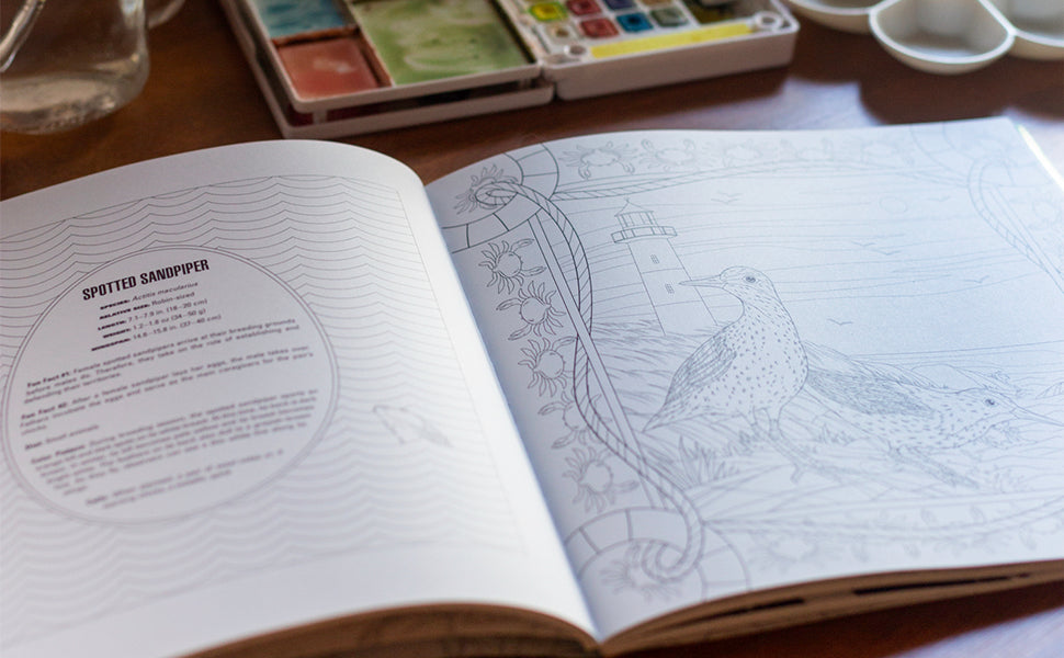 Book - Birds: A Smithsonian Coloring Book (Paperback)