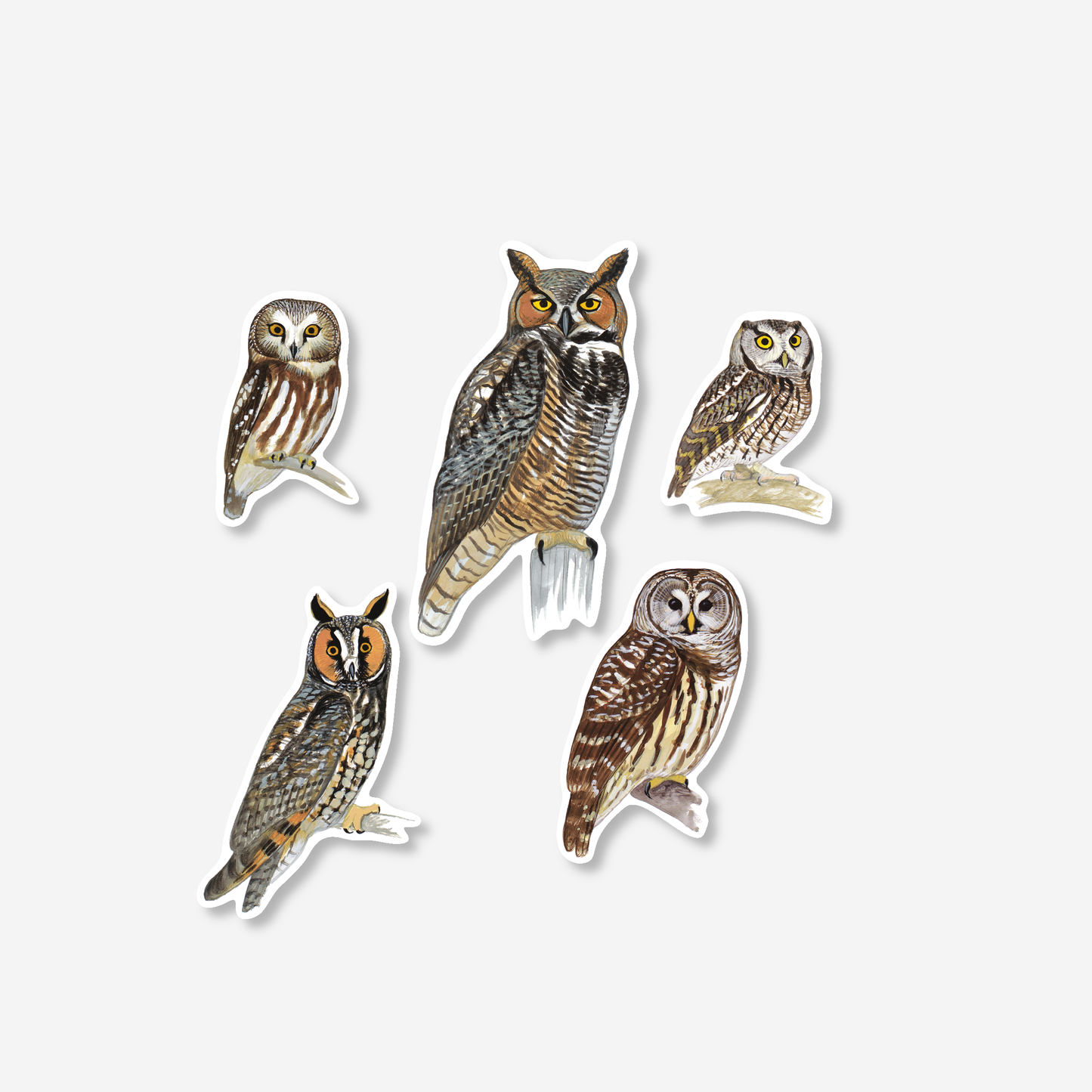 Sticker Sheet - David Allen Sibley's Owls Nature Stickers, 5" x 7"