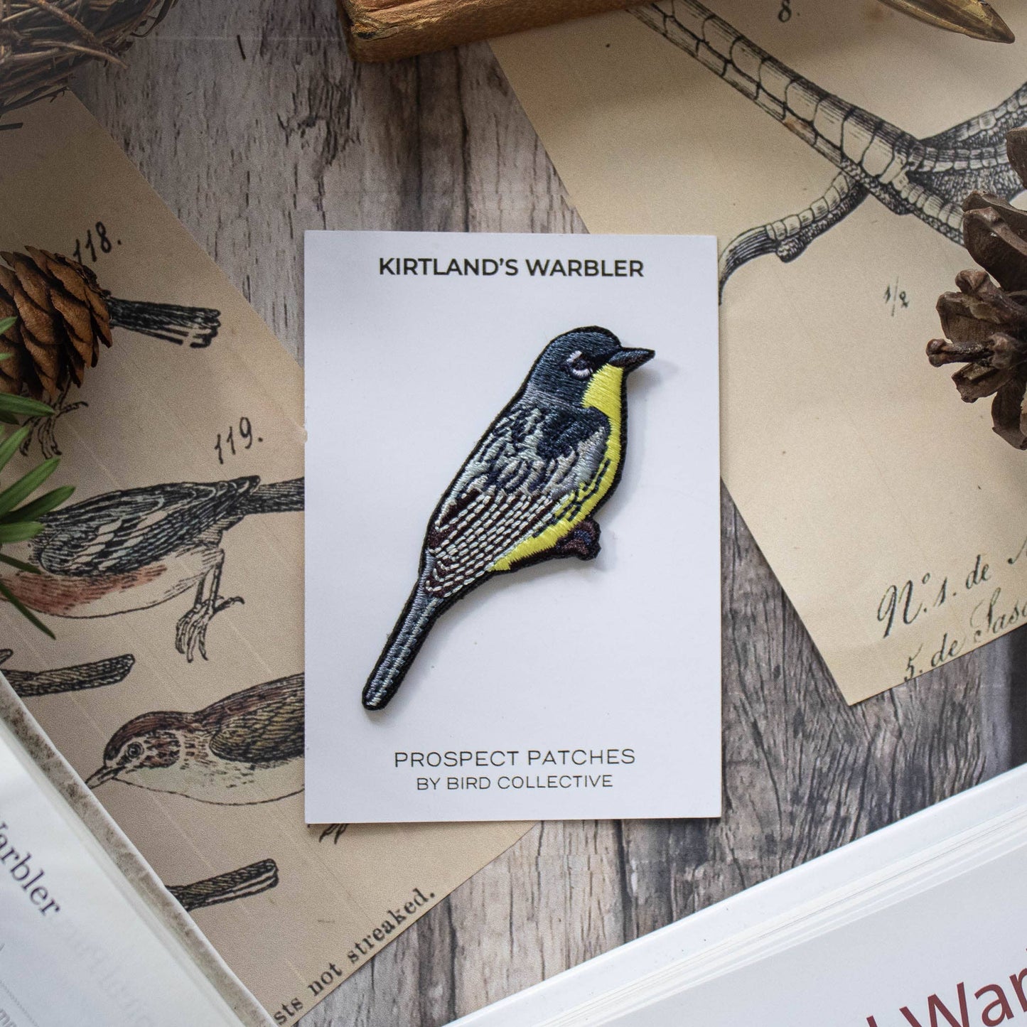 Bird Patch - Kirtland's Warbler (#16 of collection)