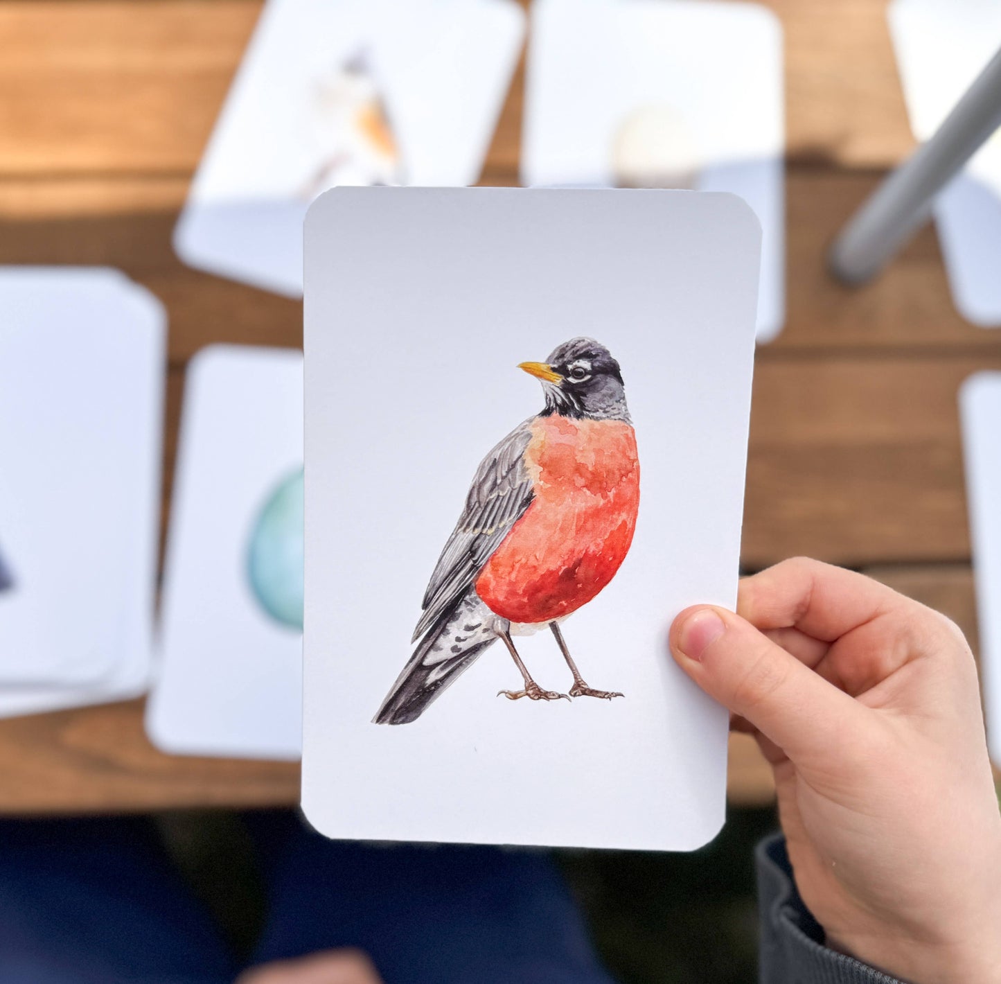 Montessori Learning Cards - Backyard Birds and Eggs