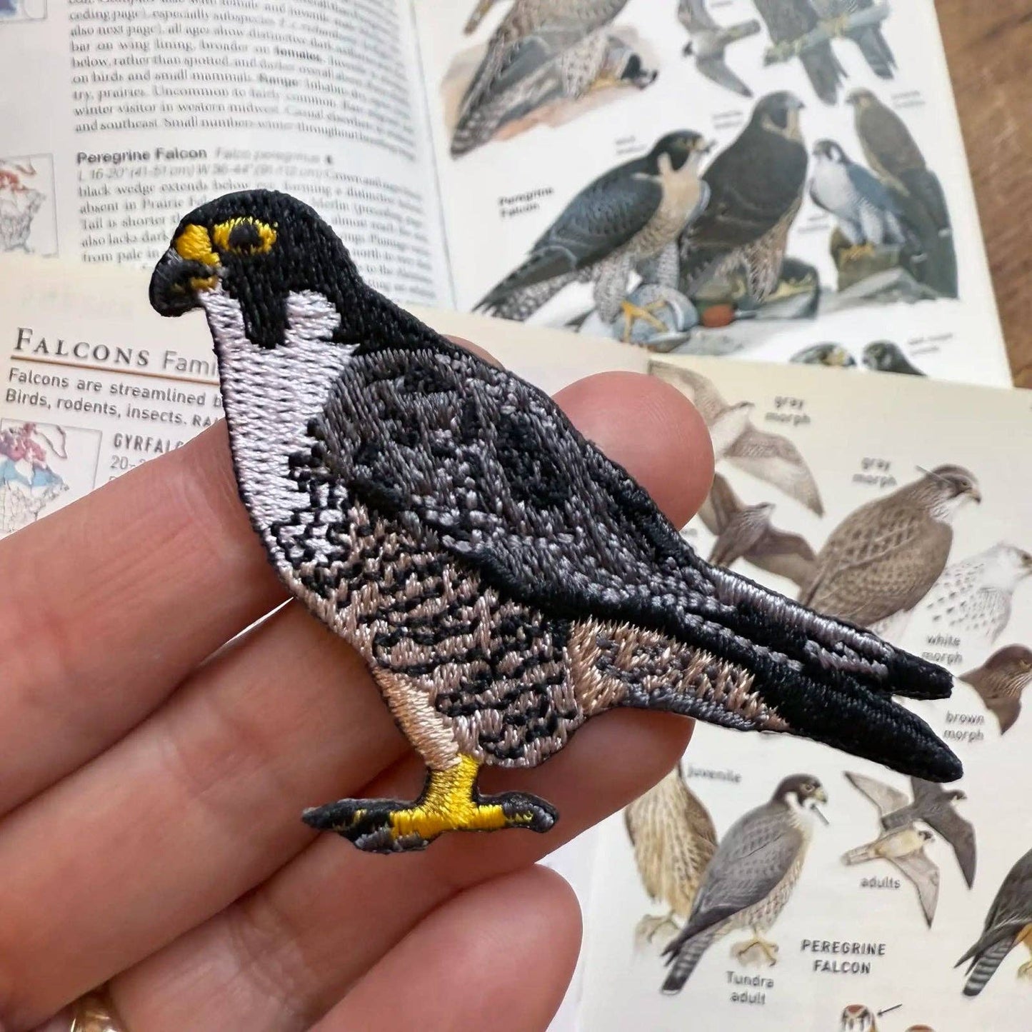 Bird Patch - Peregrine Falcon (#78 of collection)