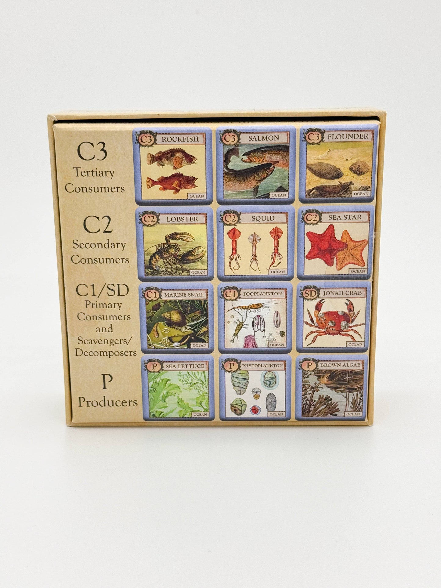 Games - Ecologies Junior: Ocean (Ages 4+)