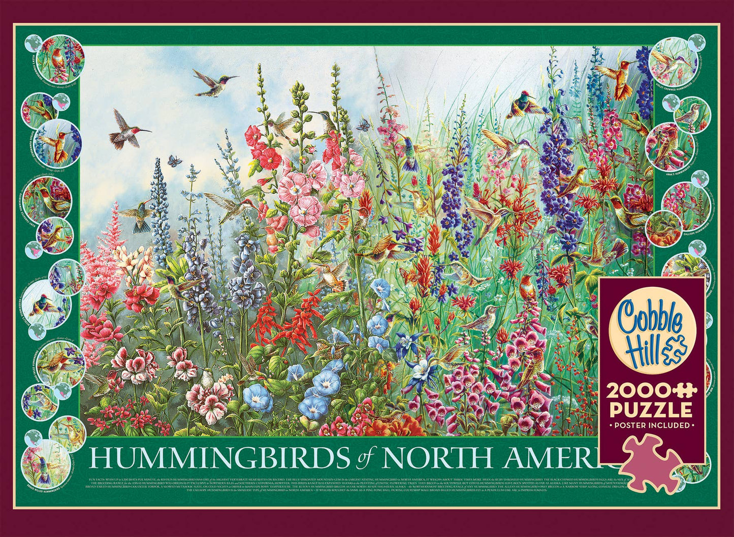 Puzzle - Hummingbirds of North America (2000 Piece)