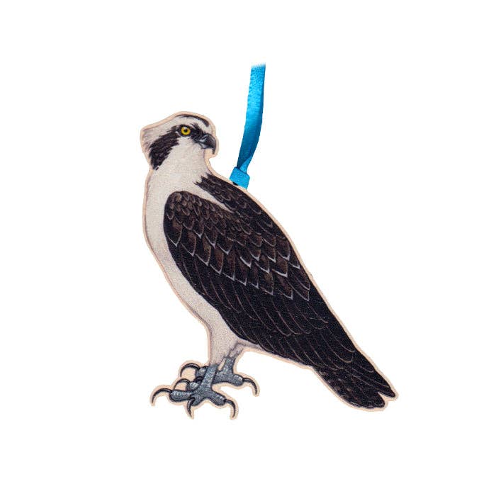Ornament - Osprey