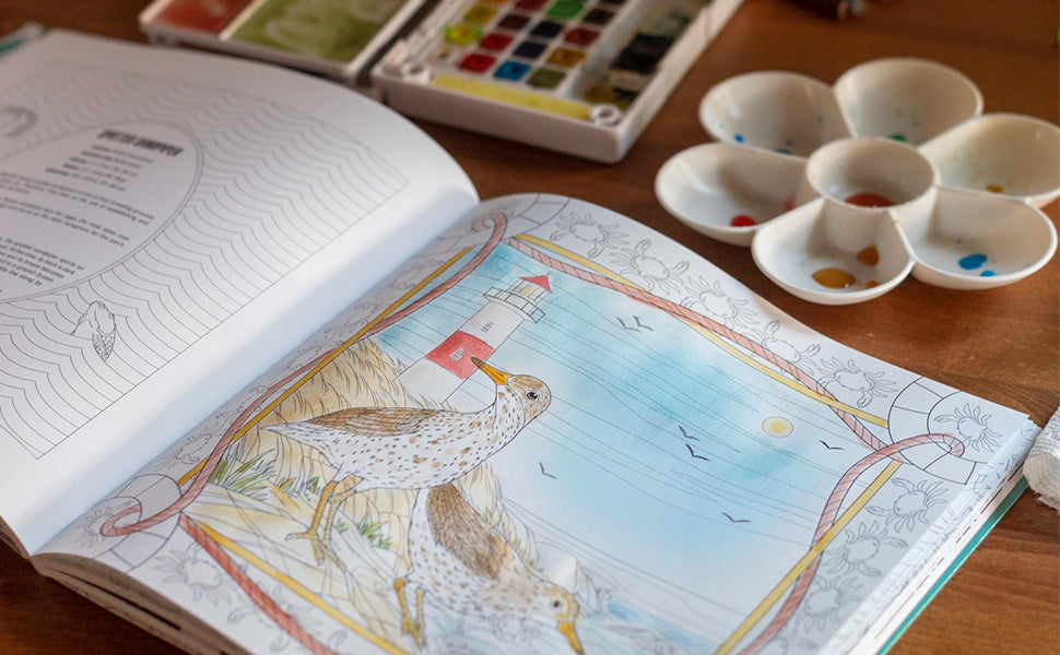 Book - Birds: A Smithsonian Coloring Book (Paperback)