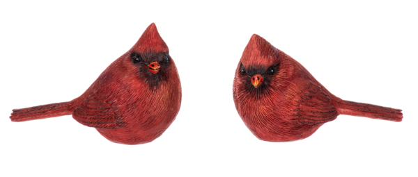 Decor - Cardinal (Choose from 4 poses)