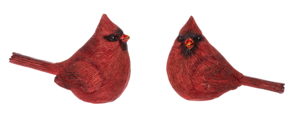 Decor - Cardinal (Choose from 4 poses)