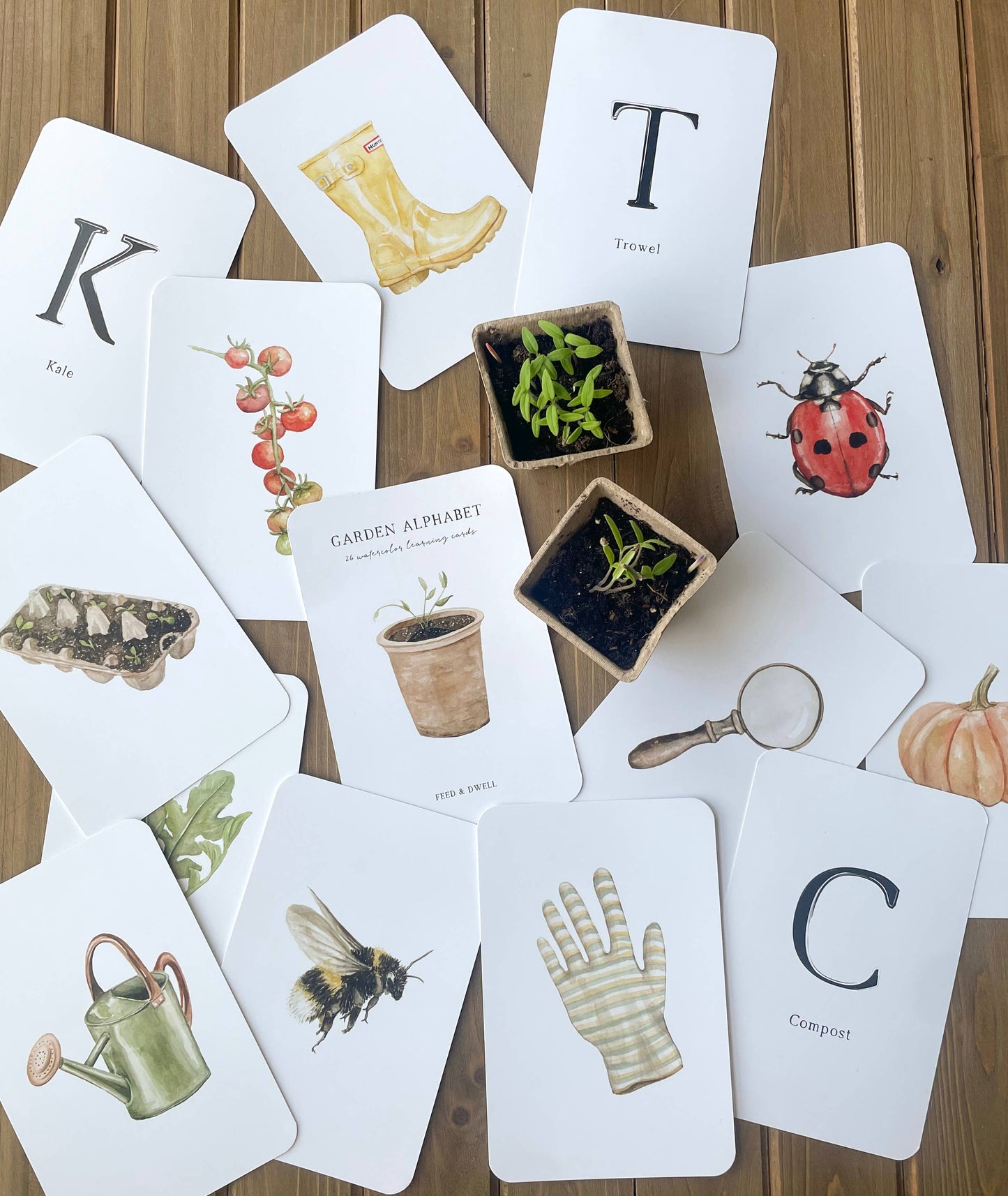 Montessori Learning Cards - Garden Alphabet