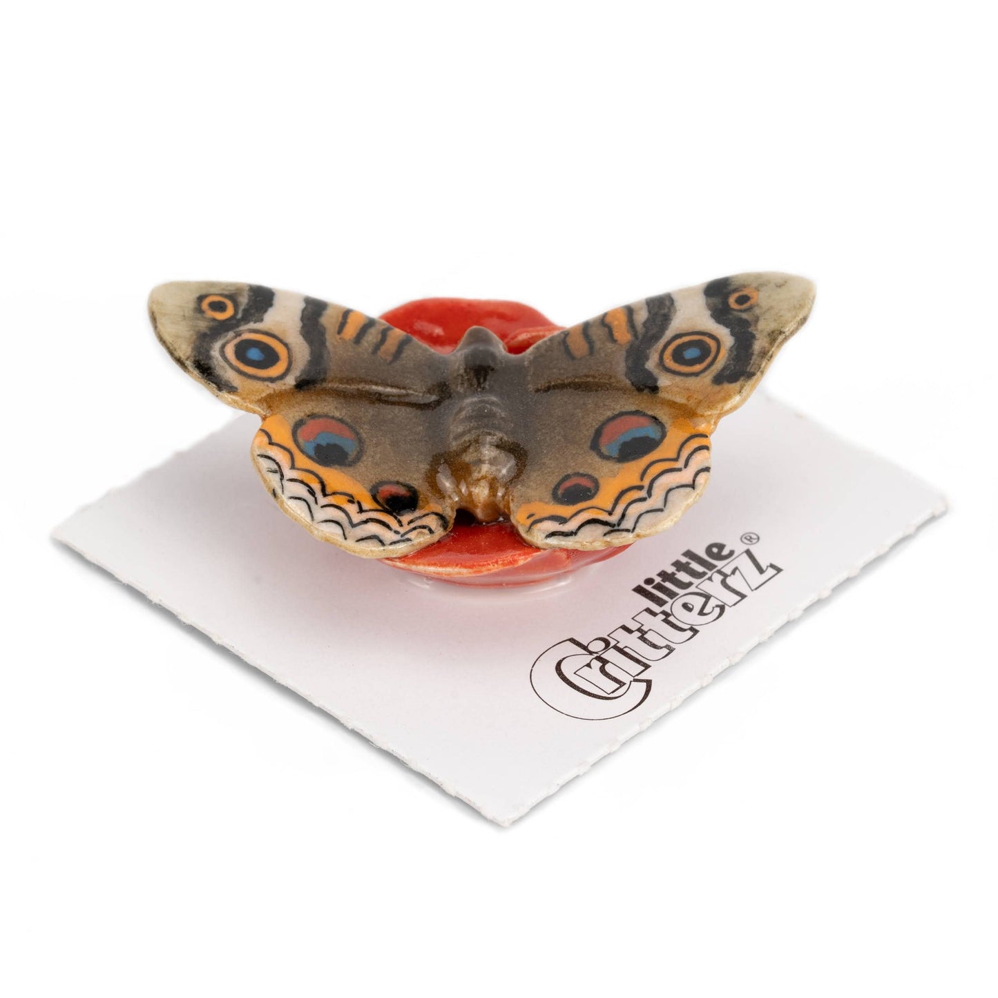 Little Critterz Porcelain Miniature - "Junonia" Buckeye Butterfly