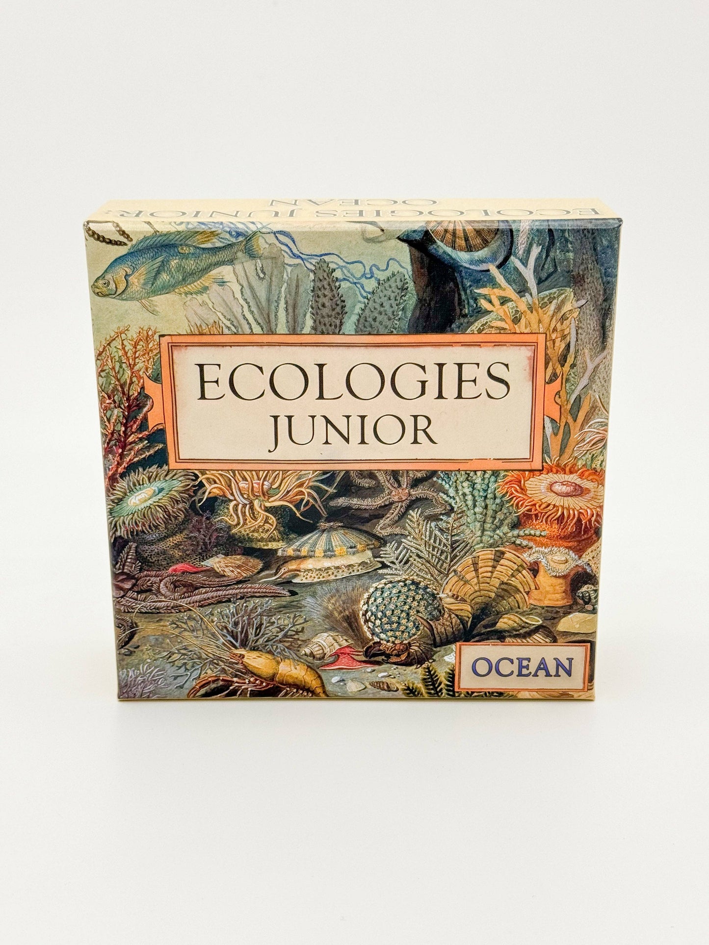 Games - Ecologies Junior: Ocean (Ages 4+)