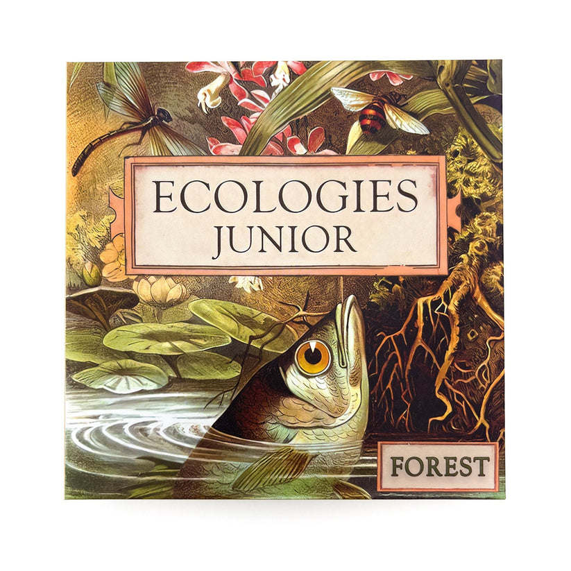 Games - Ecologies Junior: Forest (Ages 4+)