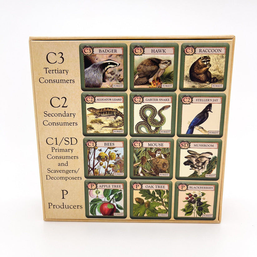 Games - Ecologies Junior: Forest (Ages 4+)