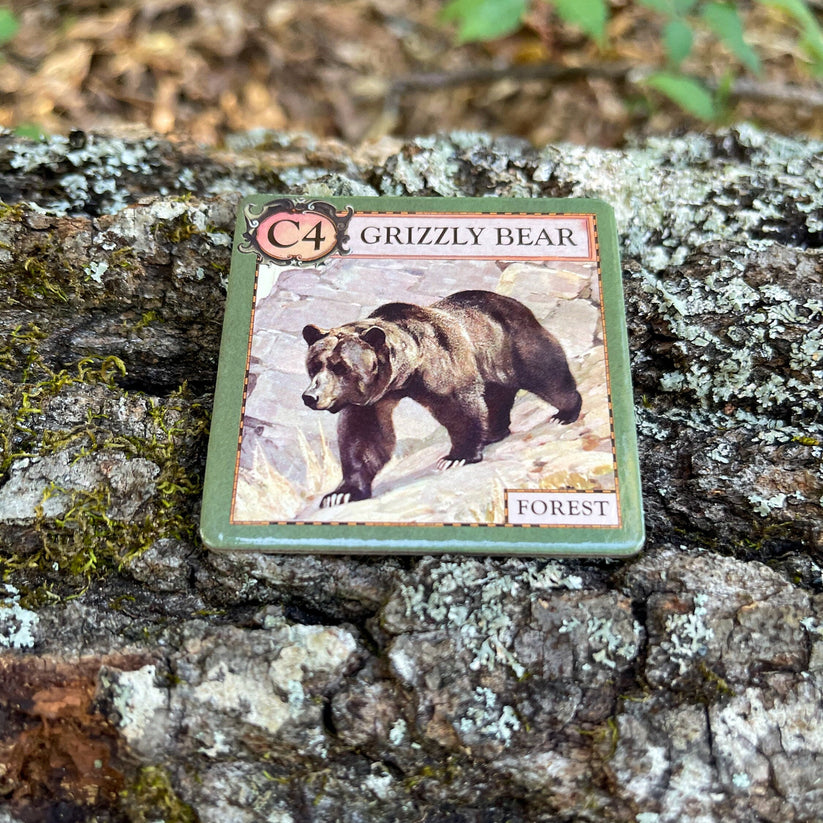 Games - Ecologies Junior: Forest (Ages 4+)