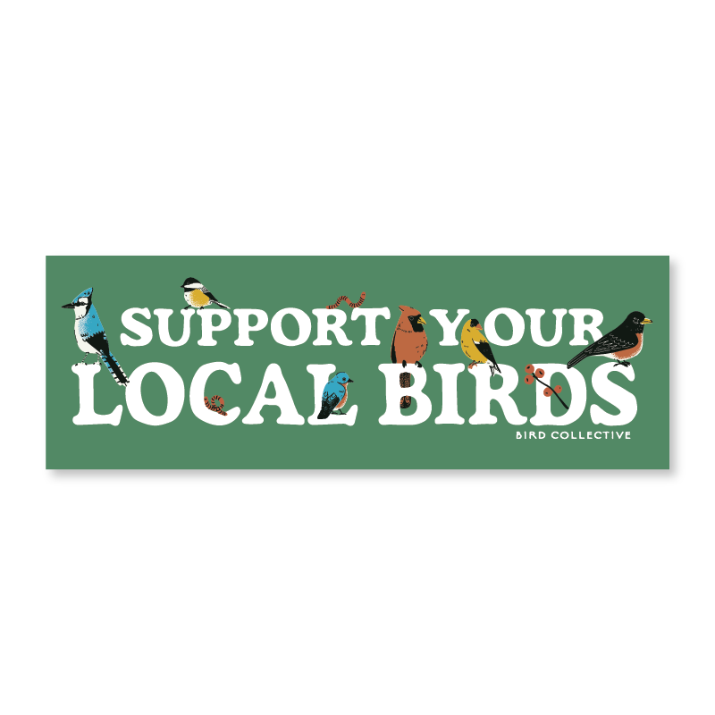 Sticker - "Support Your Local Birds" Bumper Sticker
