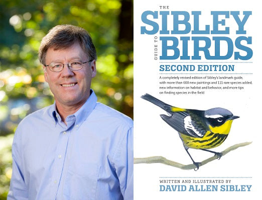 David Allen Sibley (Ornithologist)