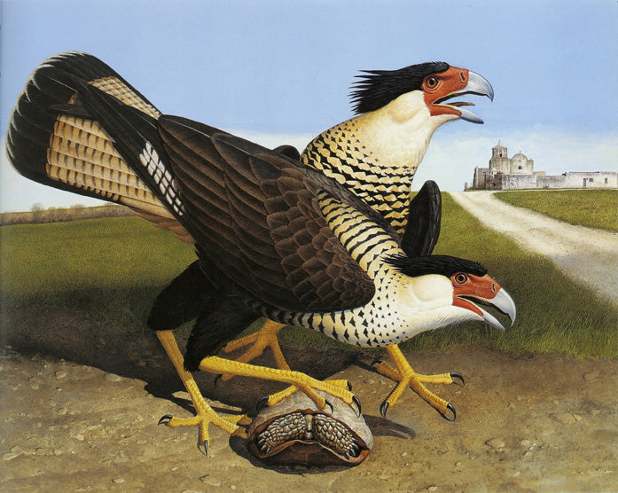 Stuart & Scott Gentling (Texas Artists)