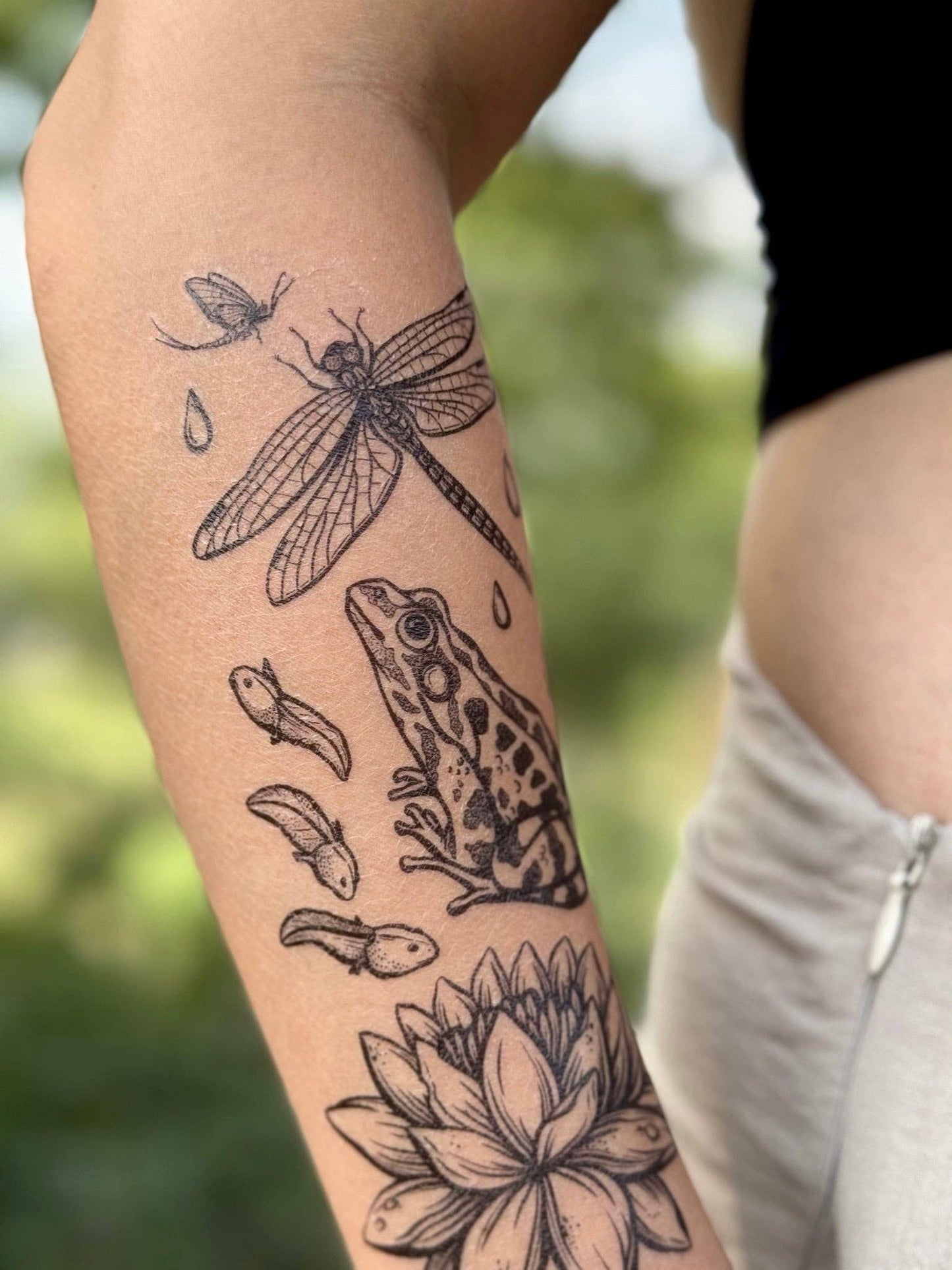 Temporary Tattoo - Pond Cycle (1 Pack)