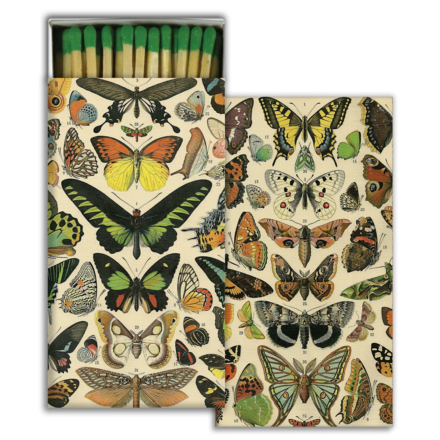 Matches - Butterfly Specimens (4.25")