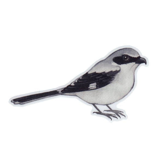 Sticker - Loggerhead Shrike