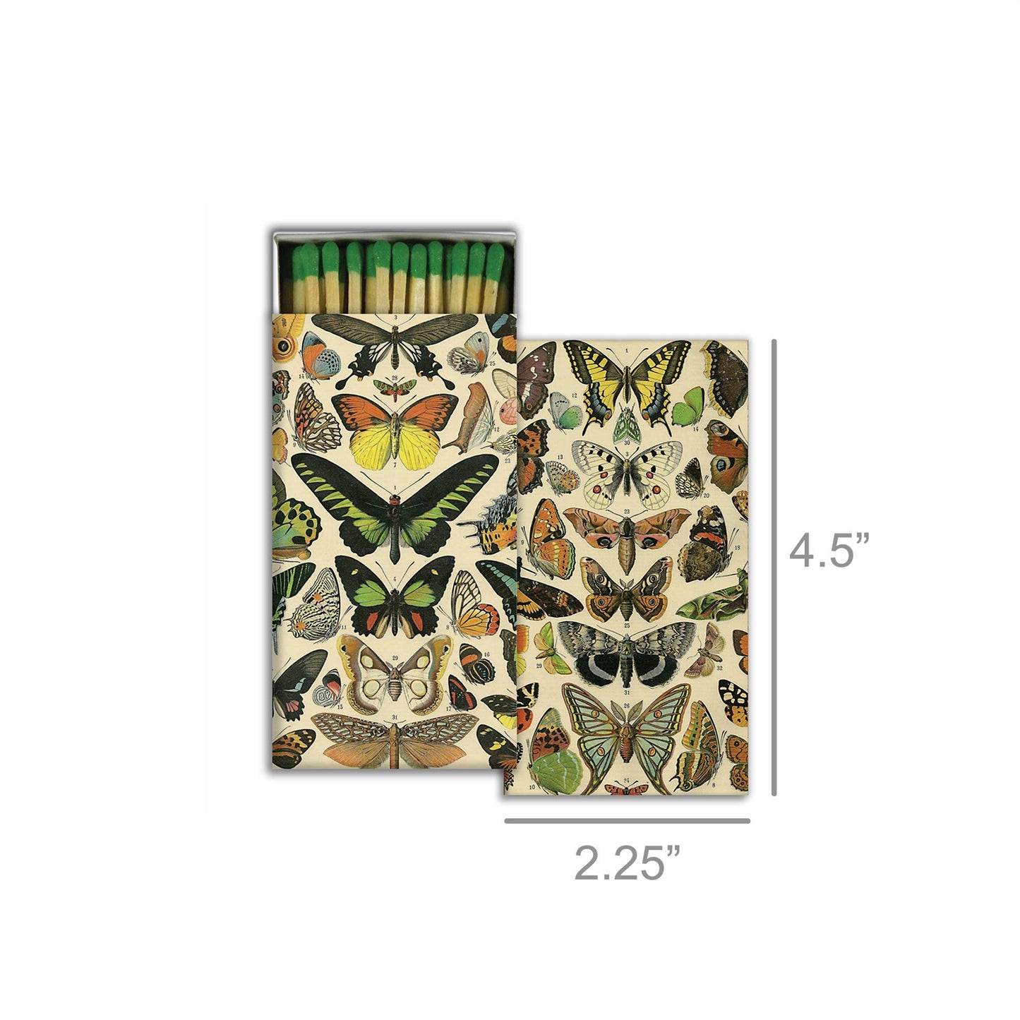 Matches - Butterfly Specimens (4.25")