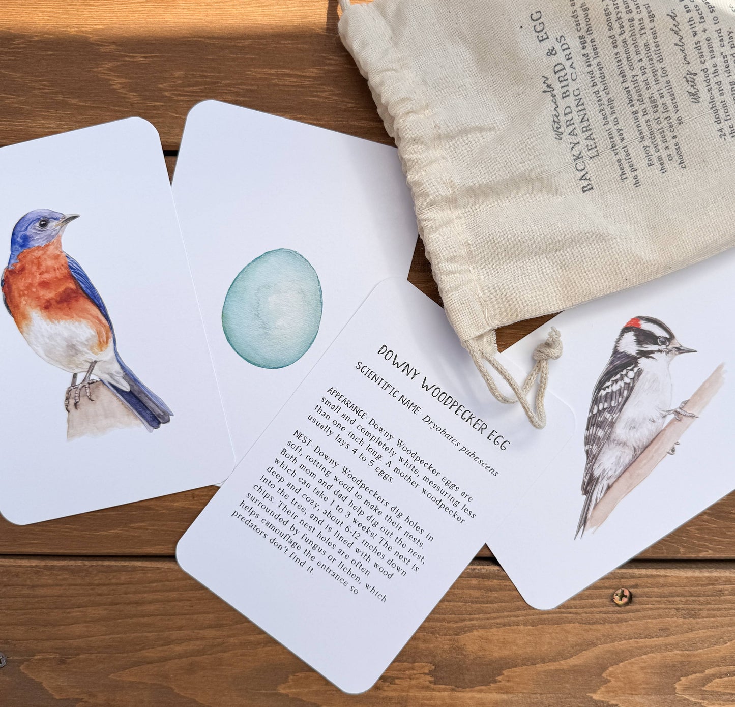 Montessori Learning Cards - Backyard Birds and Eggs