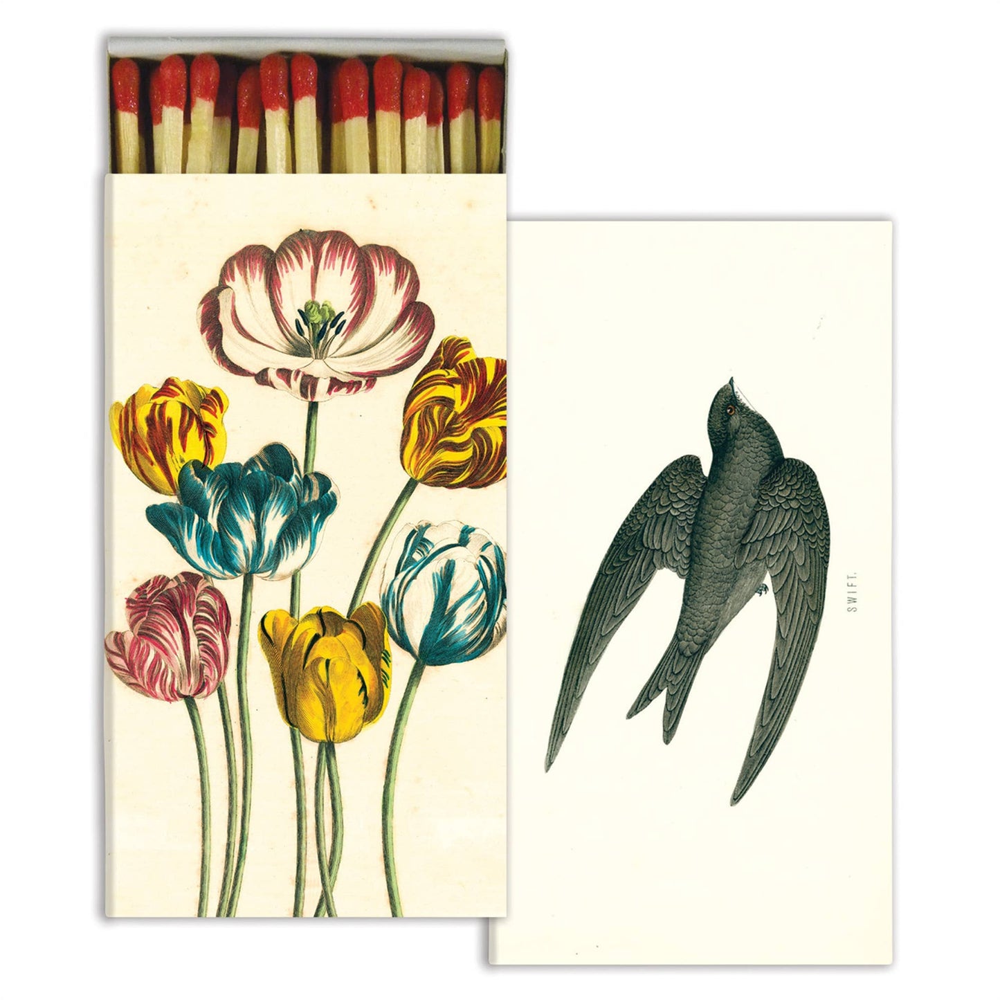 Matches - Variegated Tulips & Swift (4.25")