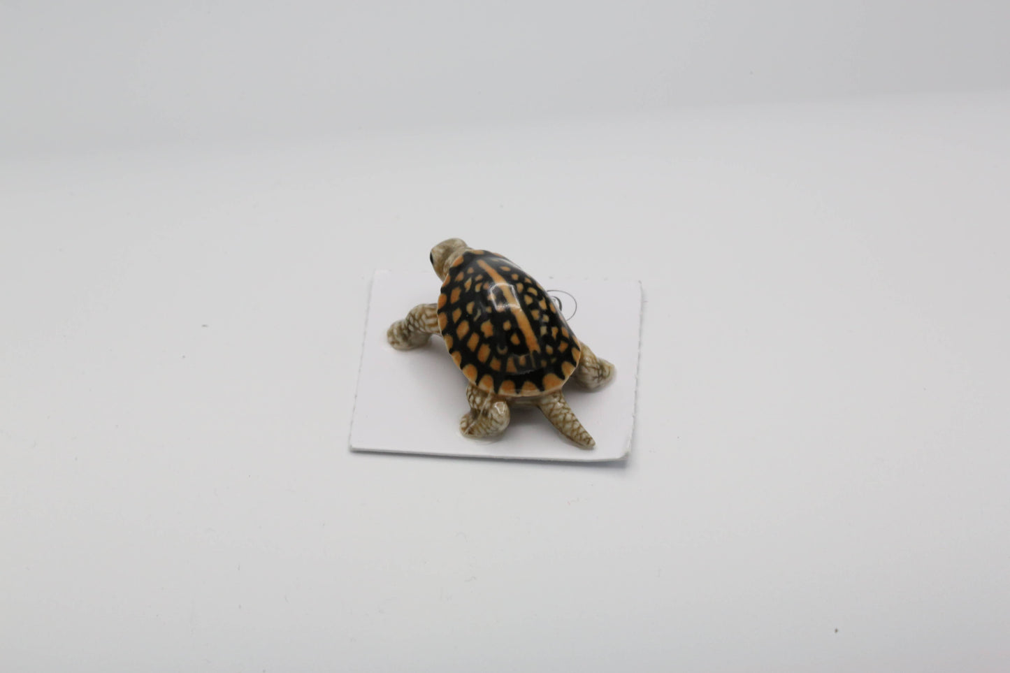 Little Critterz Porcelain Miniature - "Dom" Box Turtle