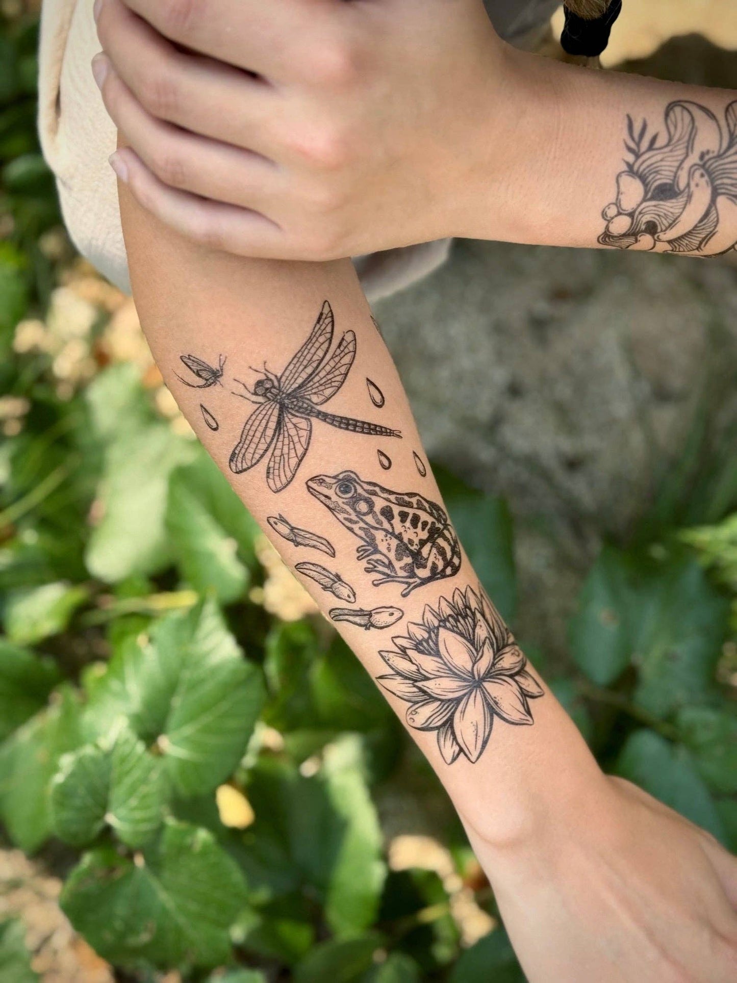 Temporary Tattoo - Pond Cycle (1 Pack)