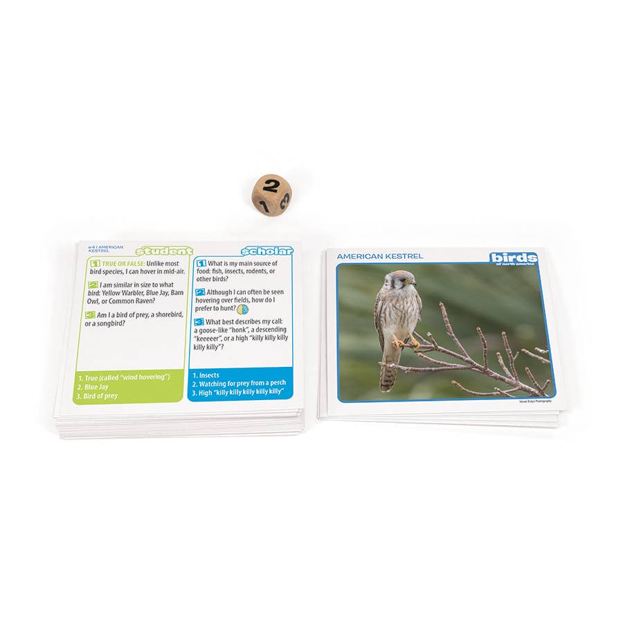Game - Prof. Noggin's Birds of North America Card Game