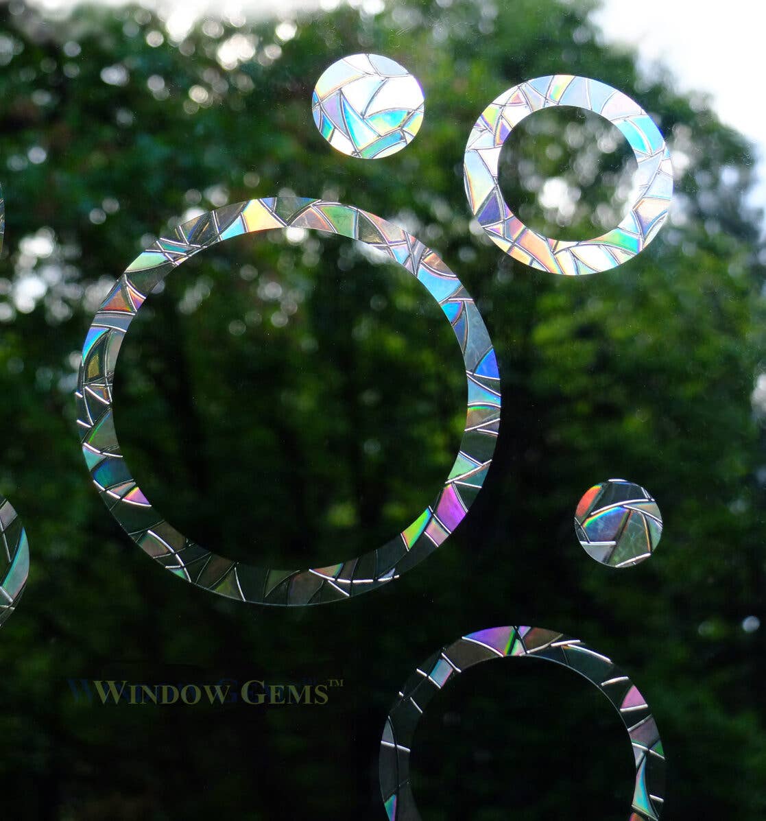Window Gems - Rings & Circles - Window Clings Bird Strike Prevention Decals