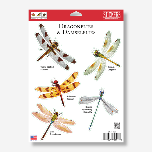 Sticker Sheet - Dragonflies and Damselflies Nature Stickers, 5" x 7"