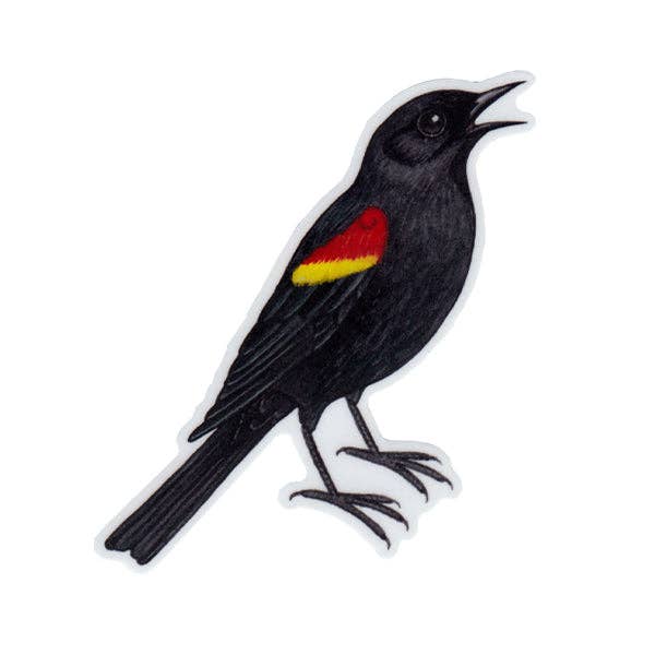 Sticker - Red-winged Blackbird