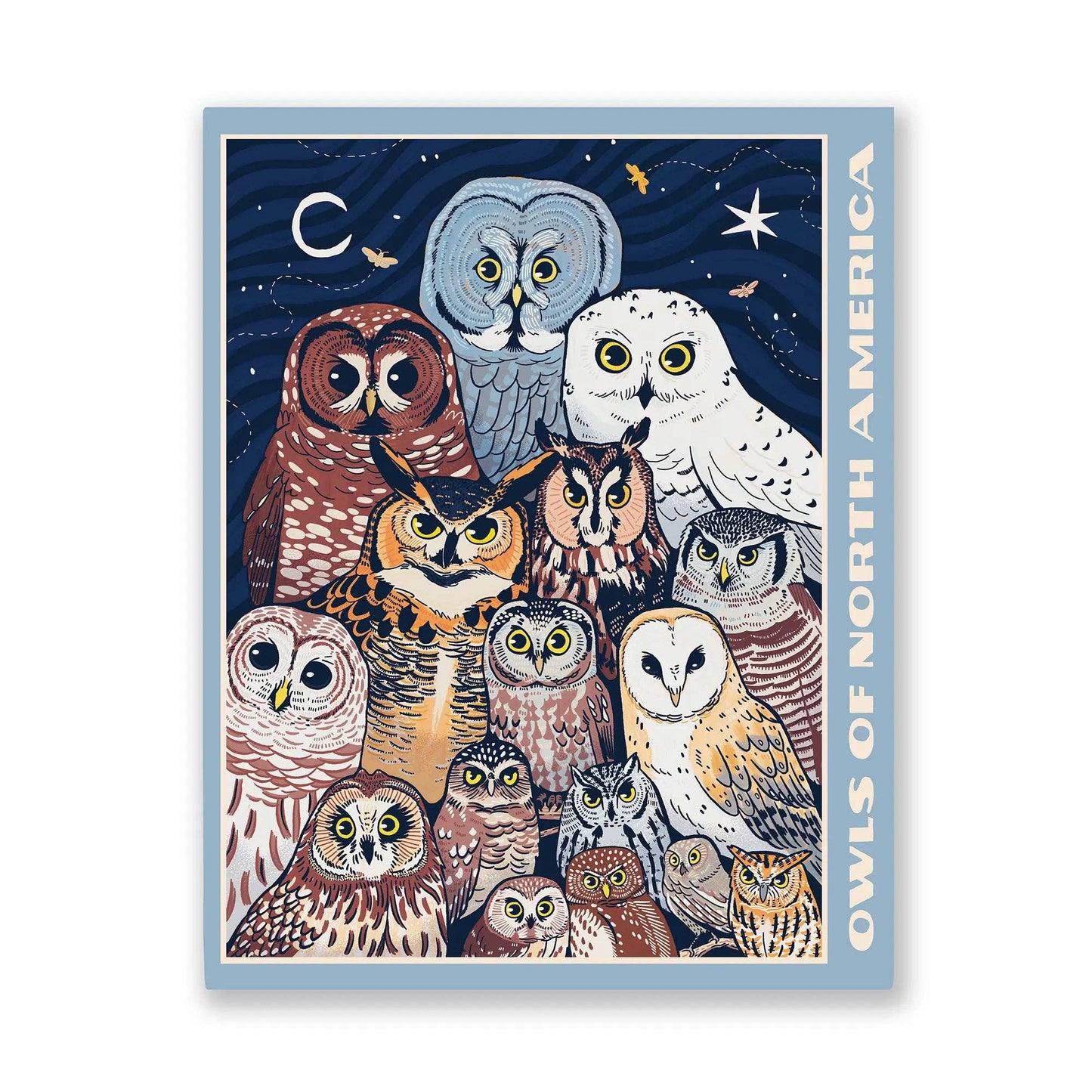 Puzzle - Owls of North America (1000 Pieces)