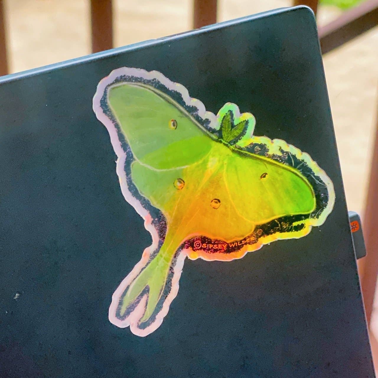 Sticker - Holographic Luna Moth