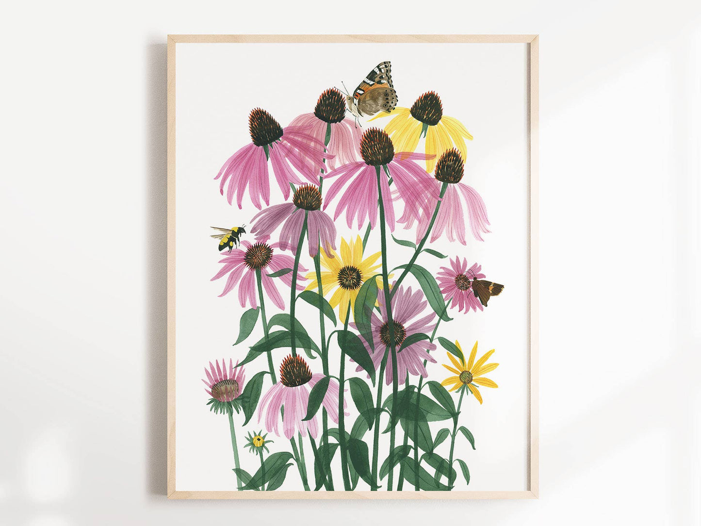 Unframed Art Print - "Coneflowers" by Leana Fischer