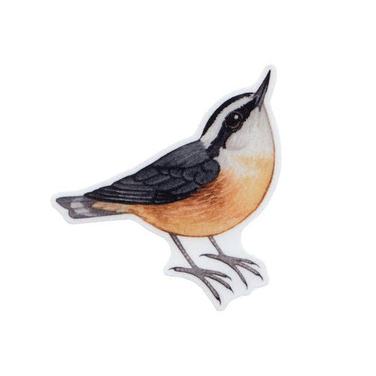 Sticker - Red-breasted Nuthatch