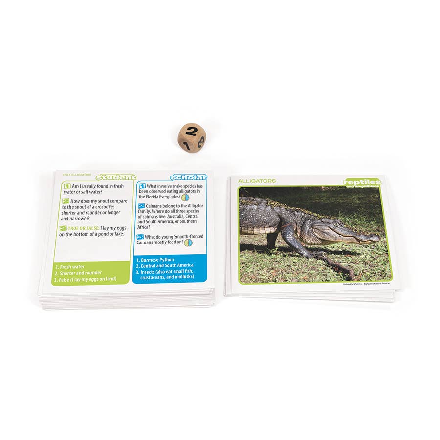 Game - Prof. Noggin Reptiles and Amphibians Card Game