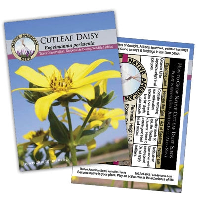 Plants for Birds - Cutleaf Daisy - Small Pack (Native American Seed)