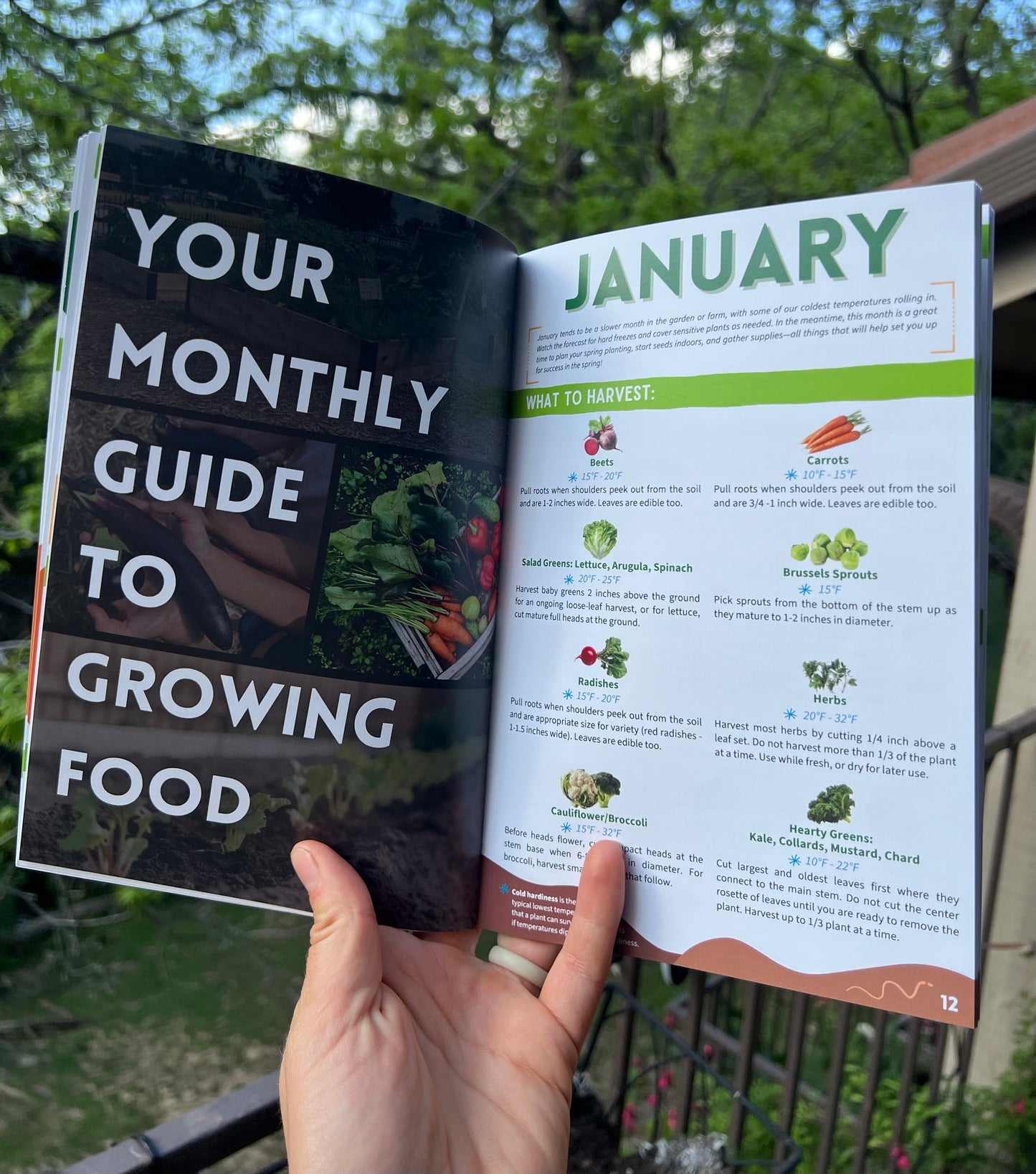 Book - North Texas Growing Guide by Claire Howell of Balcony Box