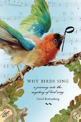 Book - Why Birds Sing: A Journey Into the Mystery of Bird Song by David Rothenberg (Paperback)