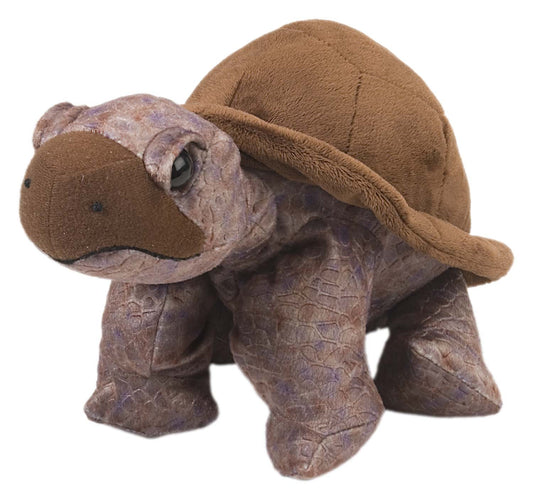 Plush Animal - Tortoise - Cuddlekins 12"