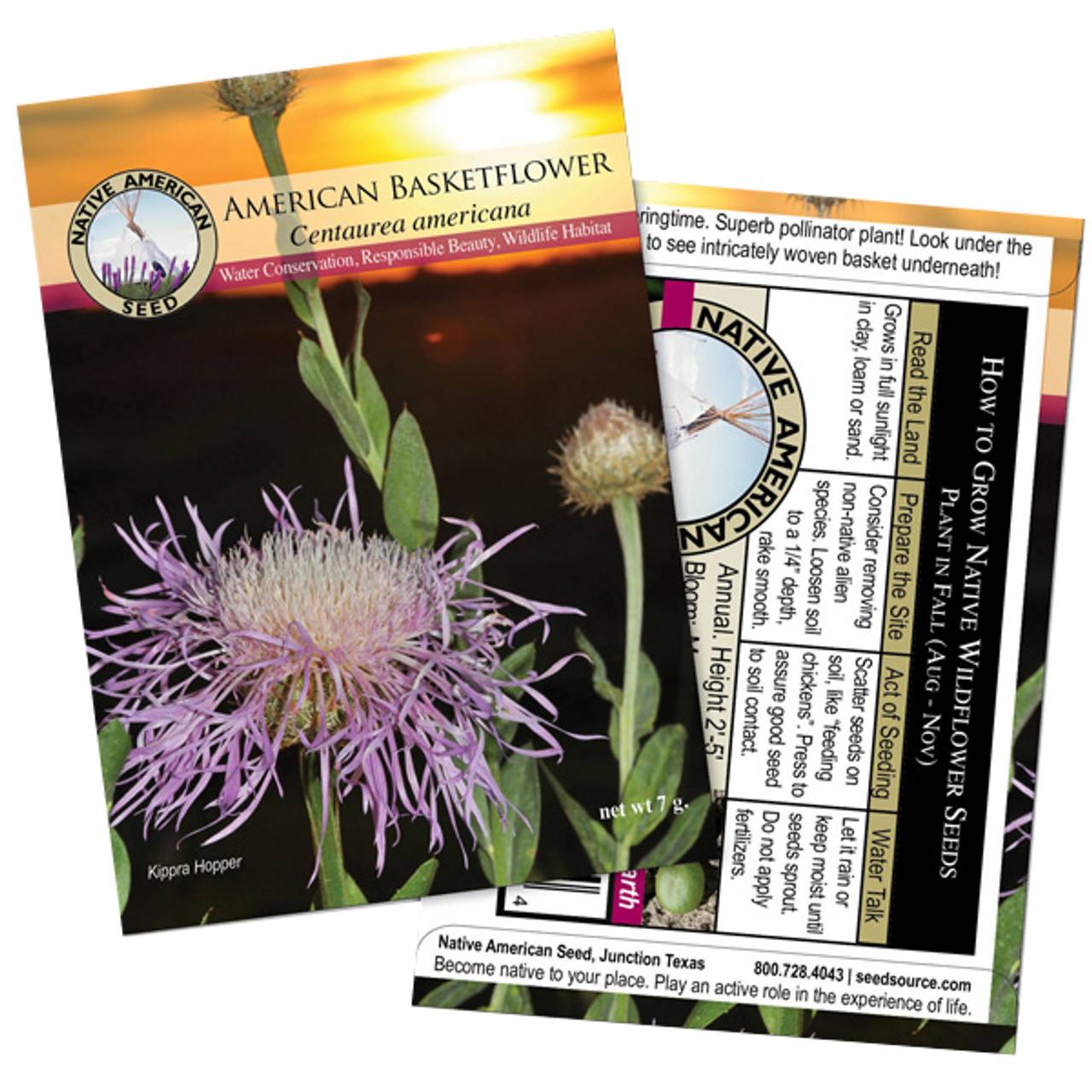 Plants for Birds - American Basketflower - Small Pack (Native American Seed)